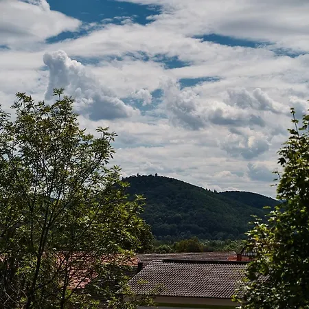 Zimmervermietung Vock Eschwege Buitenkant foto